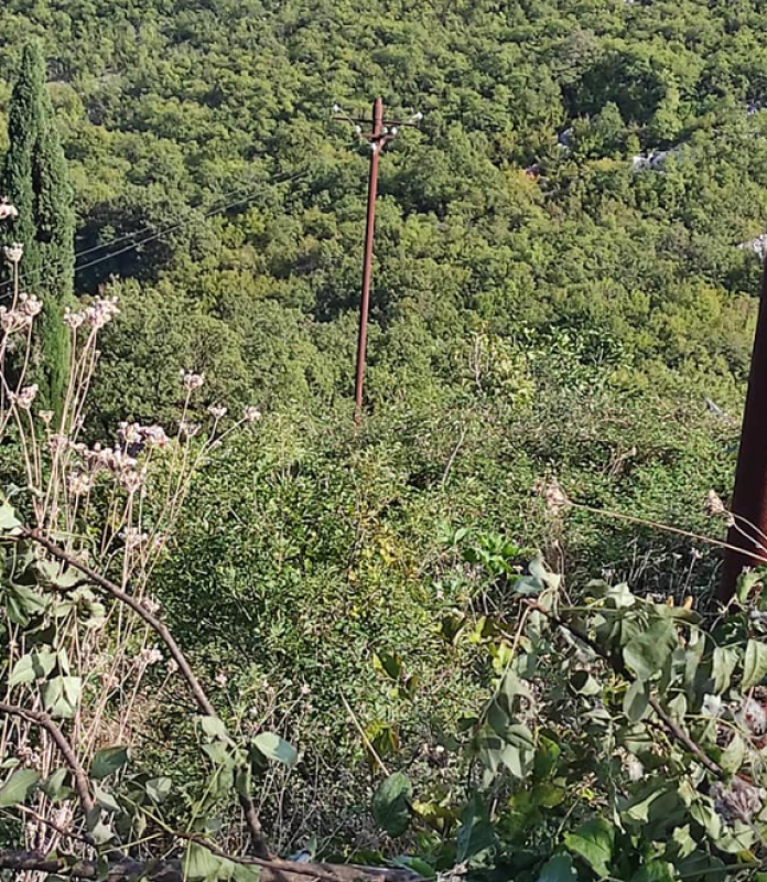 Terreno Skadarskoe ozero, Montenegro, 20 000 m2 - foto 9