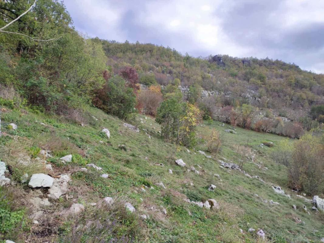 Terreno a Cettigne, Montenegro, 26 000 m2 - foto 9