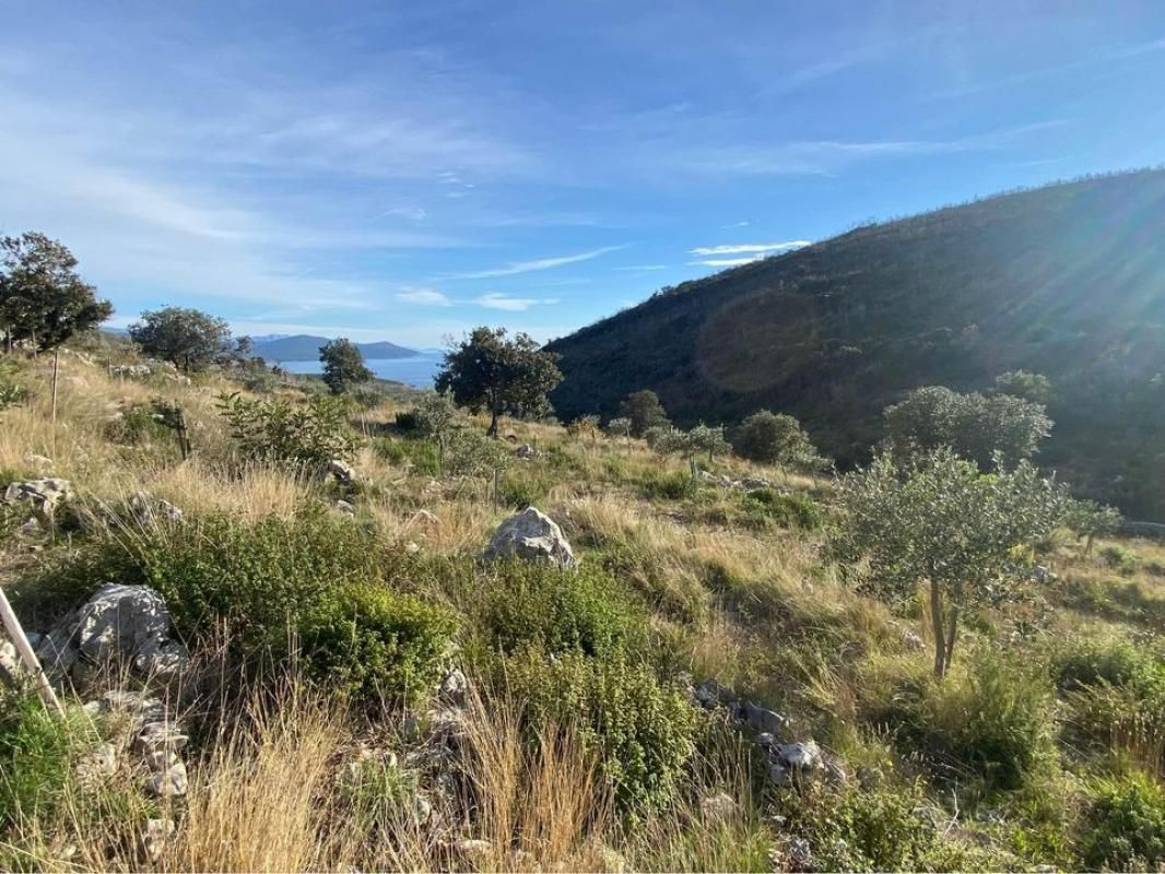 Land Lushtica, Montenegro - picture 10