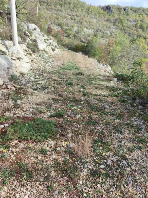 Terreno a Cettigne, Montenegro, 26 000 m2 - foto 10