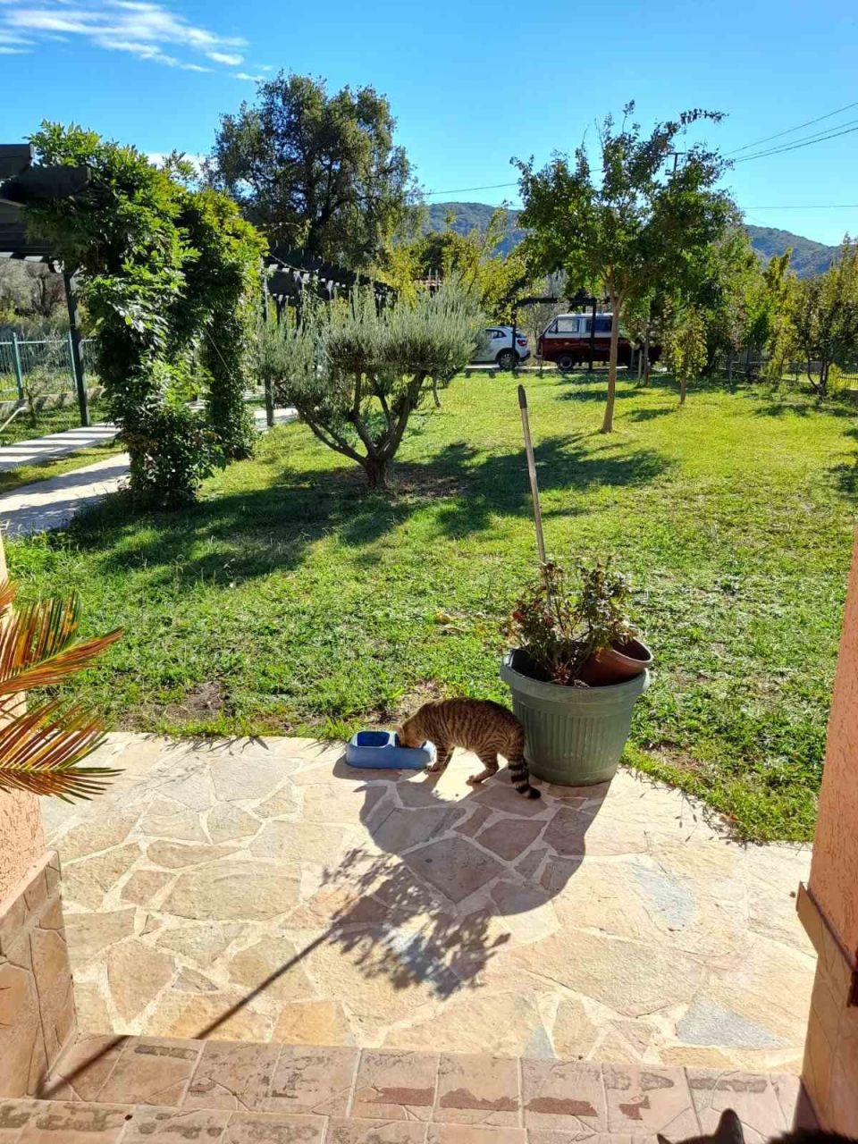 Casa en Petrovac, Montenegro, 80 m² - imagen 11