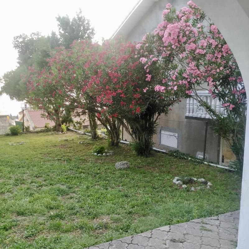 House in Petrovac, Montenegro, 480 m² - picture 12