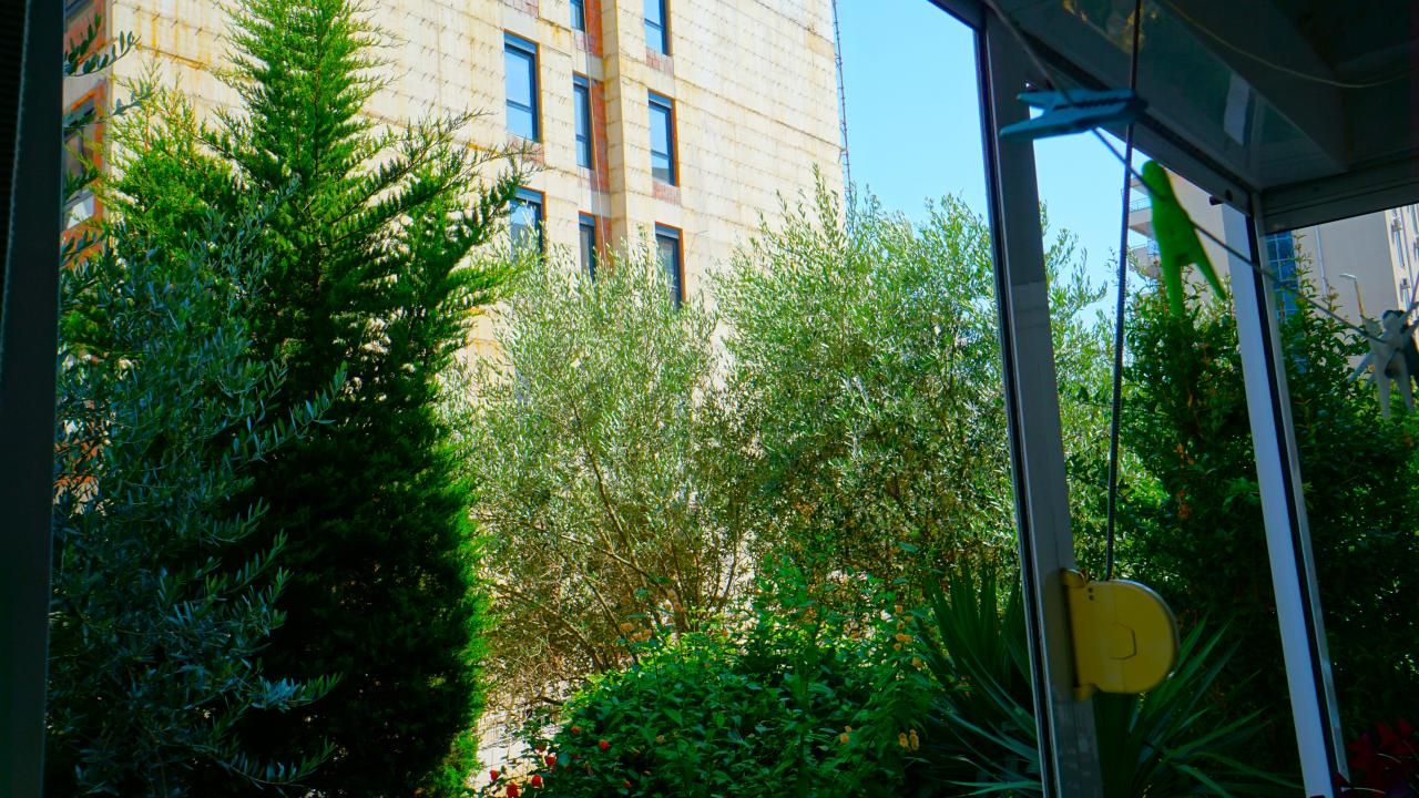 Piso Rozino, Montenegro, 44 m² - imagen 12