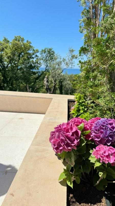 Casa en Sveti Stefan, Montenegro, 223 m² - imagen 17