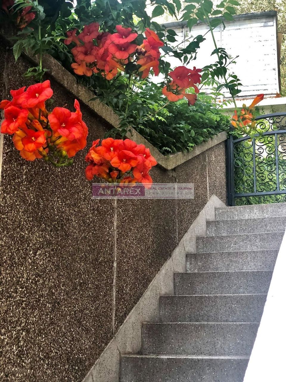 Appartamenti a Petrovac, Montenegro, 50 m² - foto 14