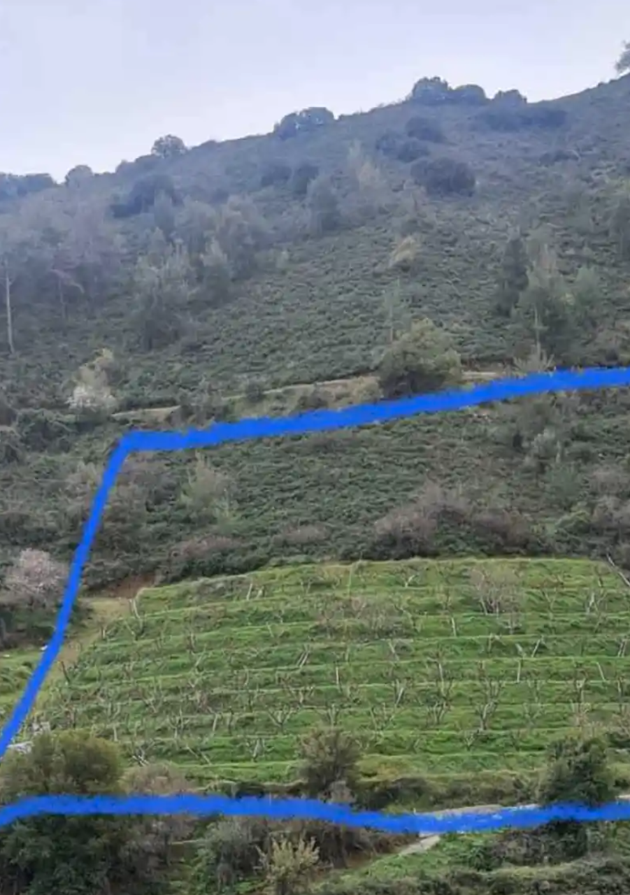 Terreno en Nicosia, Chipre, 8 176 m² - imagen 1
