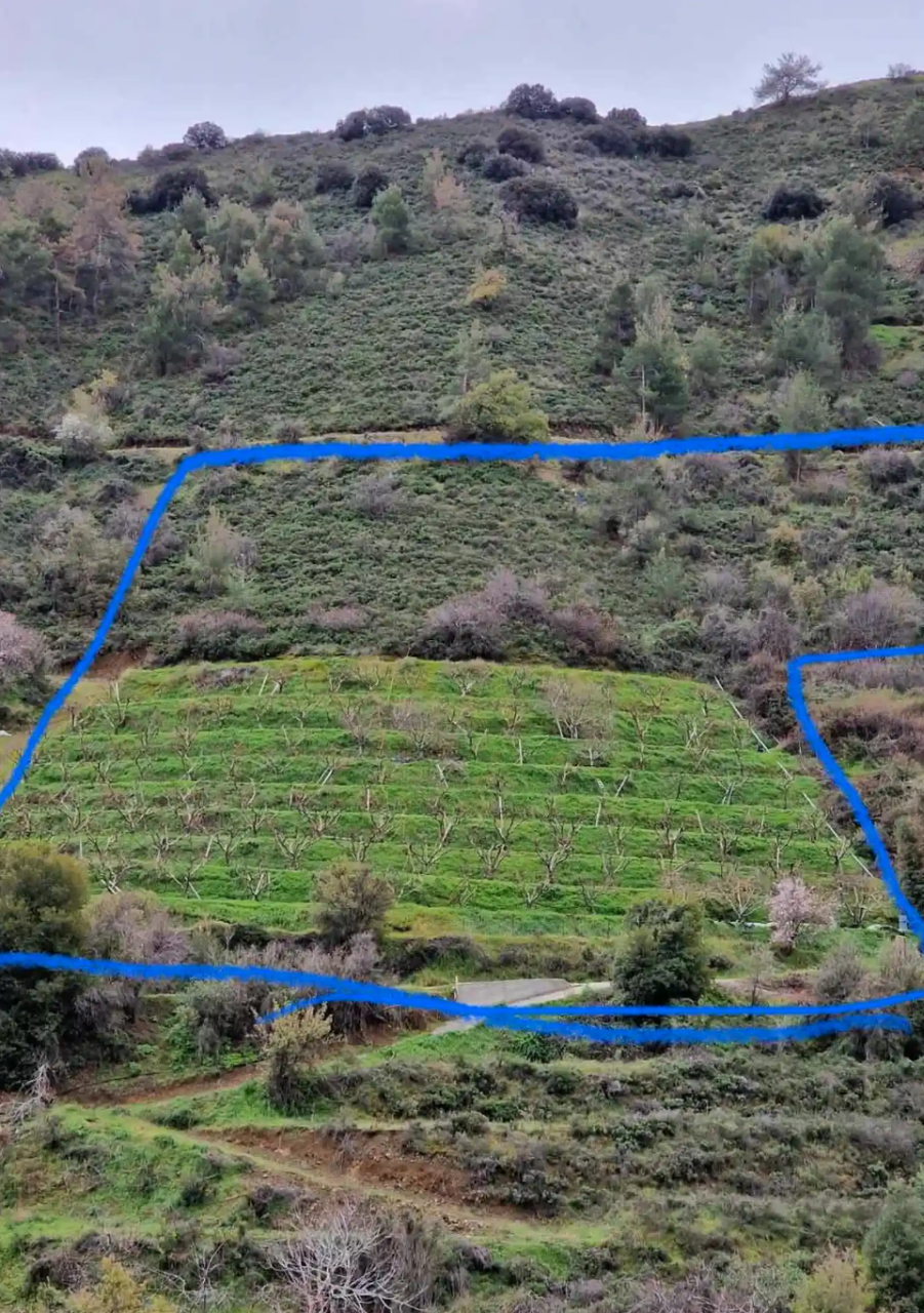 Terreno a Nicosia, Cipro, 8 176 m2 - foto 2