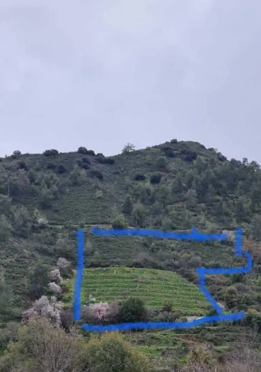 Terreno a Nicosia, Cipro, 8 176 m2 - foto 3