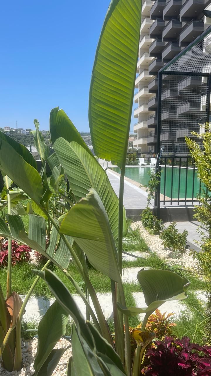 Appartement à Mersin, Turquie, 43 m² - image 1