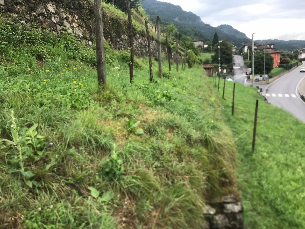 Terreno a Carlazzo, Italia, 2 440 m2 - foto 4