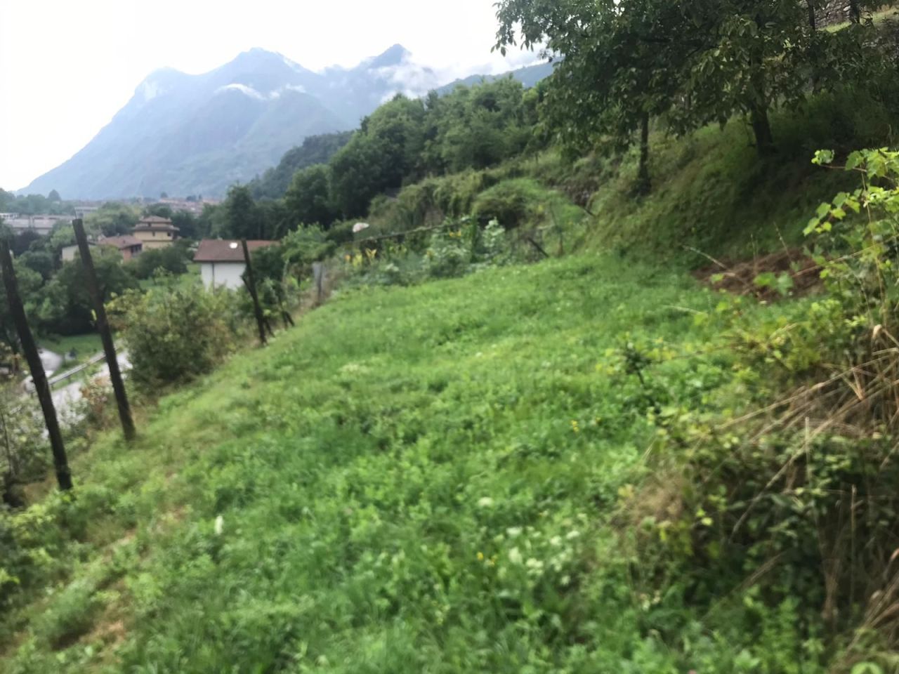 Terreno a Carlazzo, Italia, 2 440 m2 - foto 5