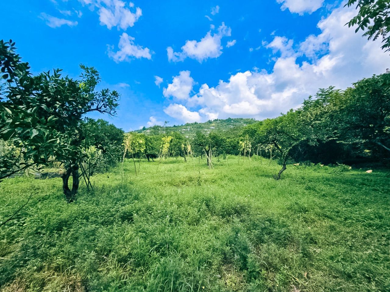 Land in Batumi, Georgia, 2 000 m² - picture 1