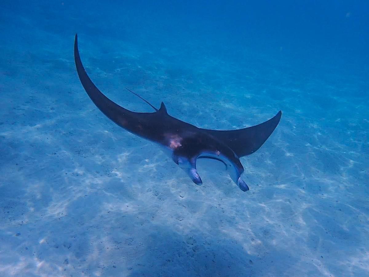 Hotel Maldives, Maldivas, 7 000 m² - imagen 15