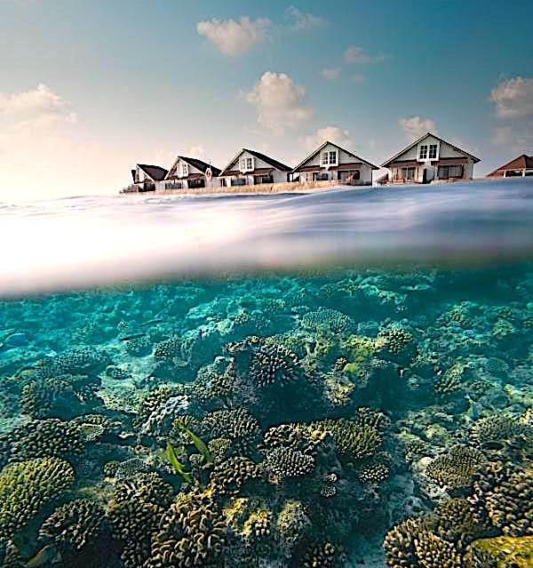 Hotel Maldives, Maldivas, 7 000 m² - imagen 9