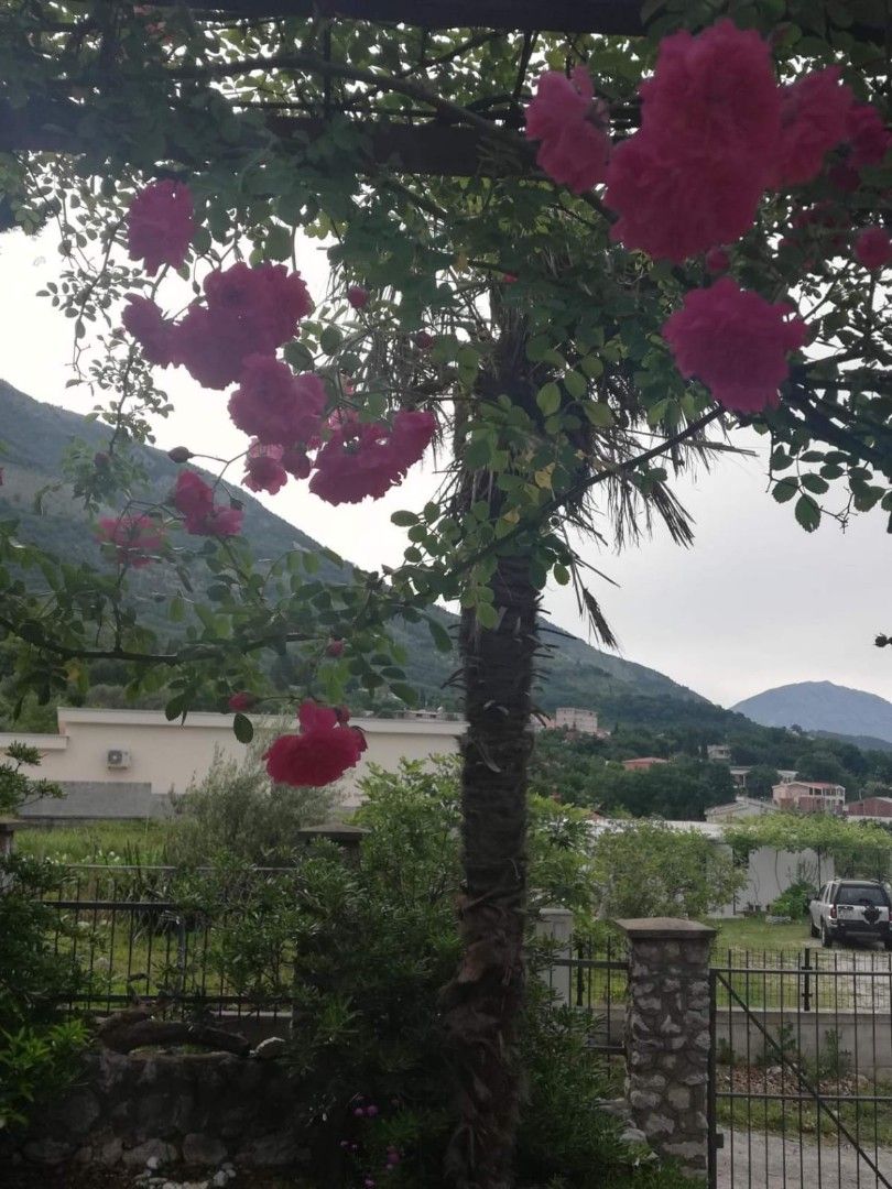 Biens commerciaux à Sutomore, Monténégro, 60 m² - image 3