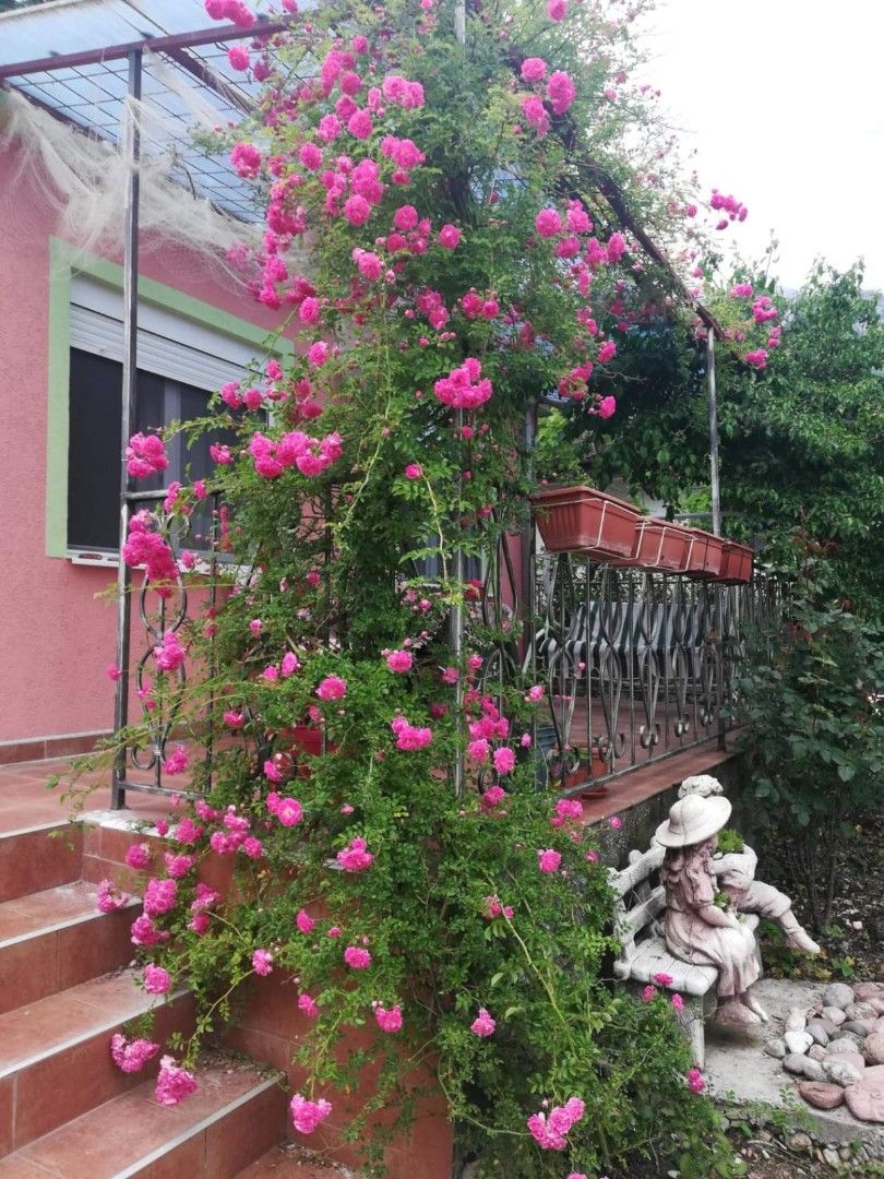 Biens commerciaux à Sutomore, Monténégro, 60 m² - image 4