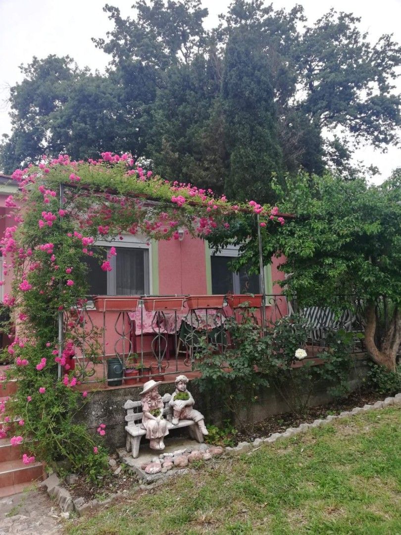 Biens commerciaux à Sutomore, Monténégro, 60 m² - image 5