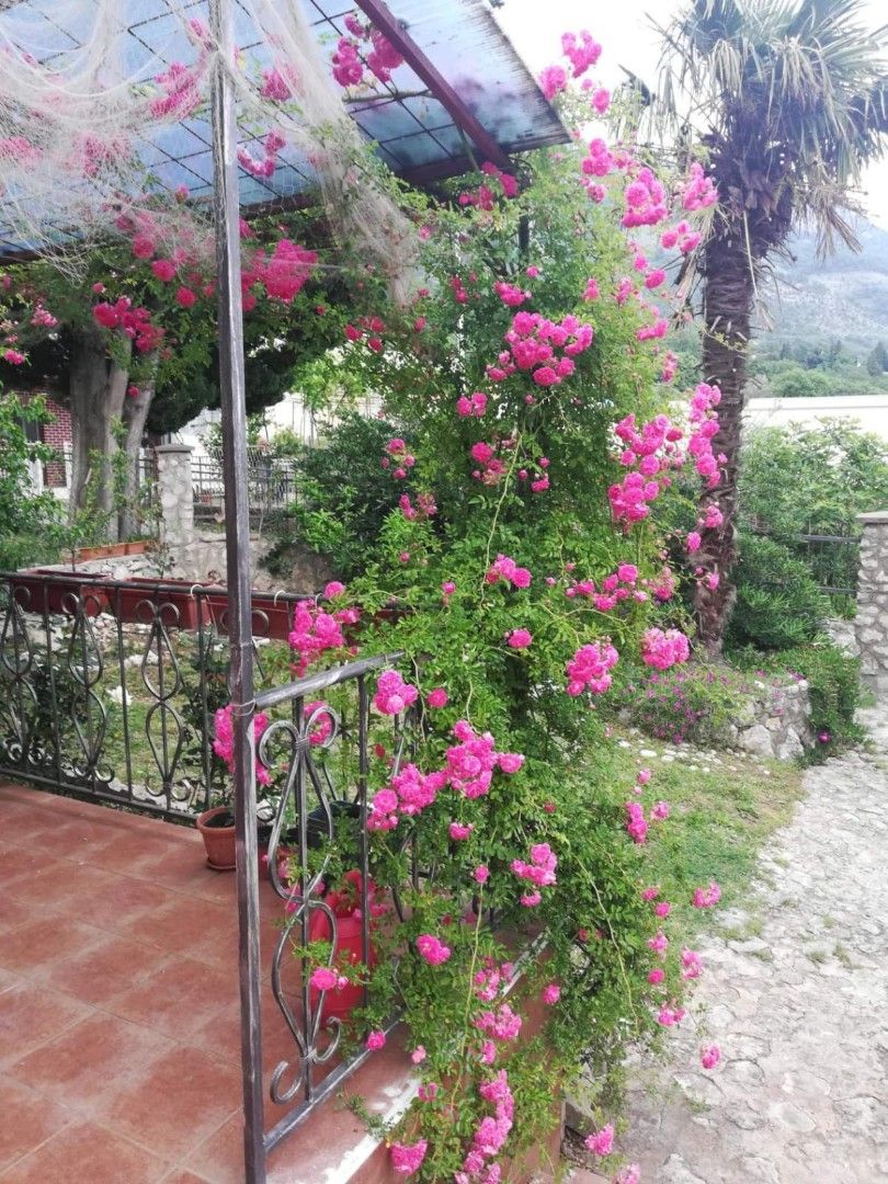 Biens commerciaux à Sutomore, Monténégro, 60 m² - image 7