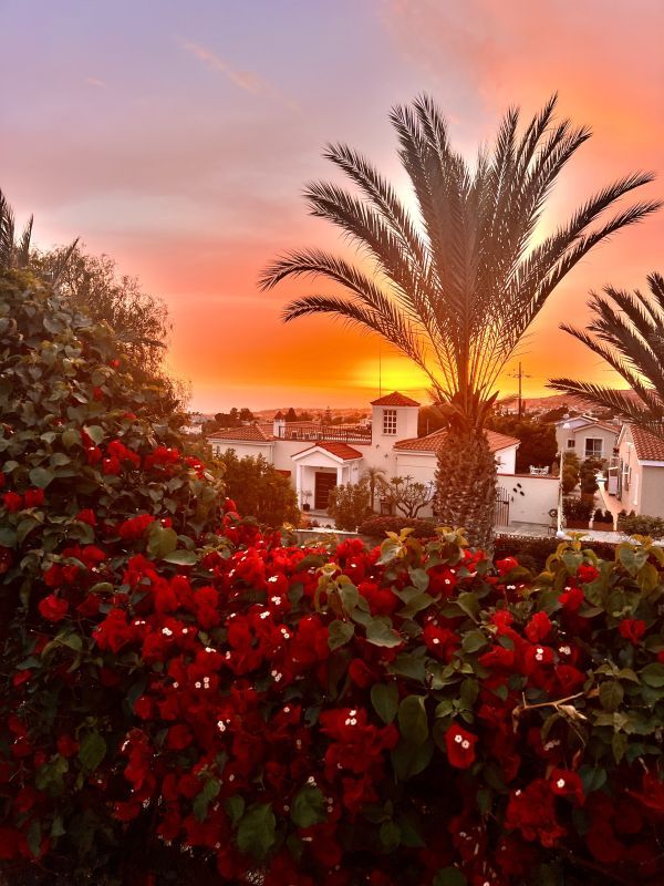 Villa a Paphos, Cipro, 140 m² - foto 2