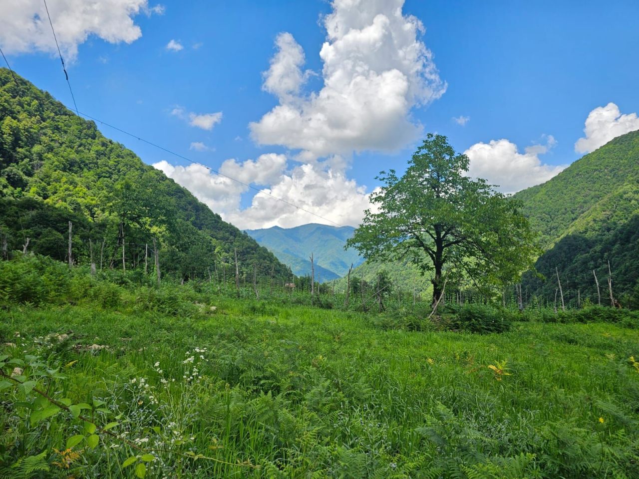 Terrain à Batoumi, Géorgie, 2 800 m² - image 1