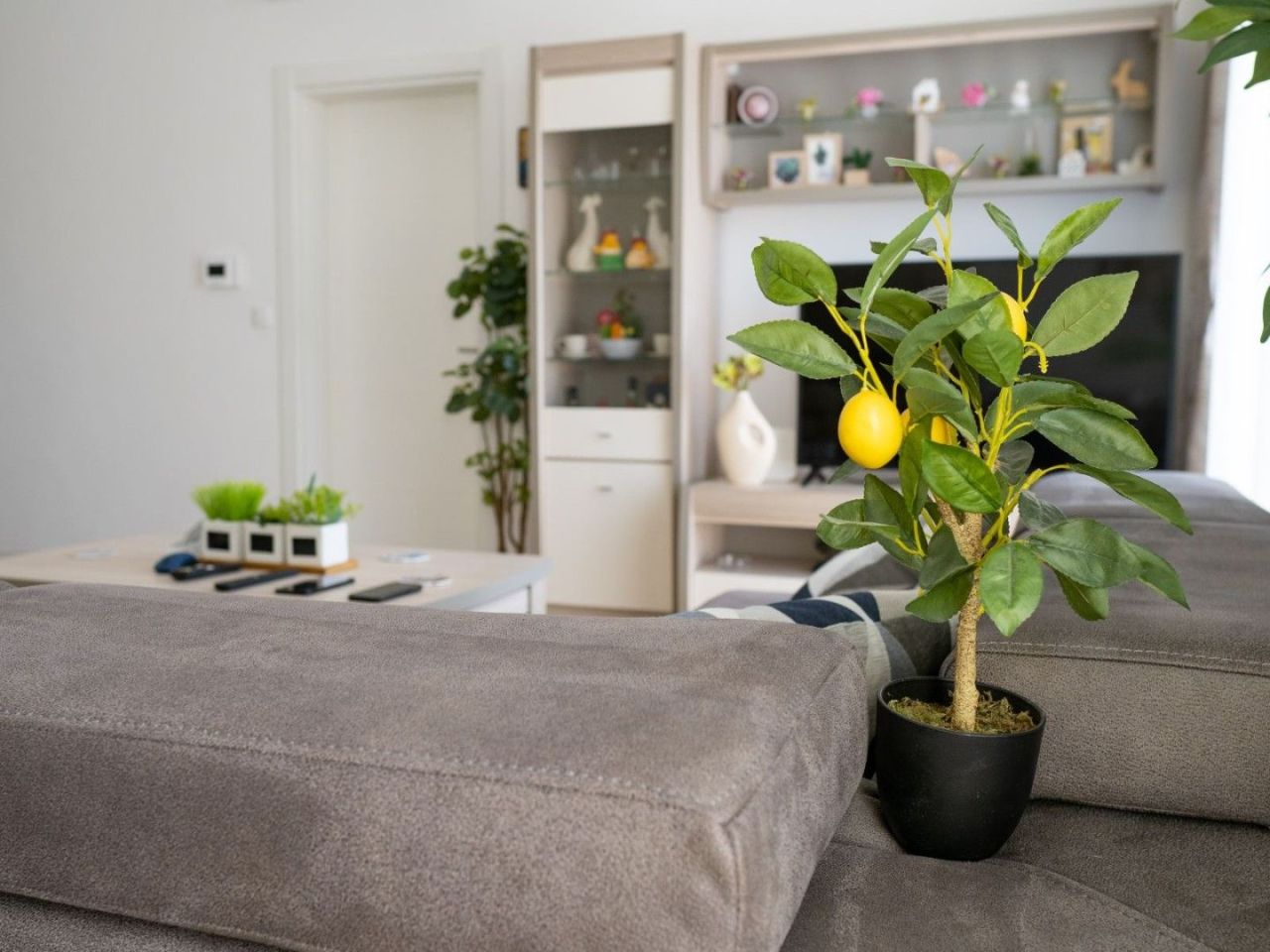 Flat in Bar, Montenegro, 83 m² - picture 13