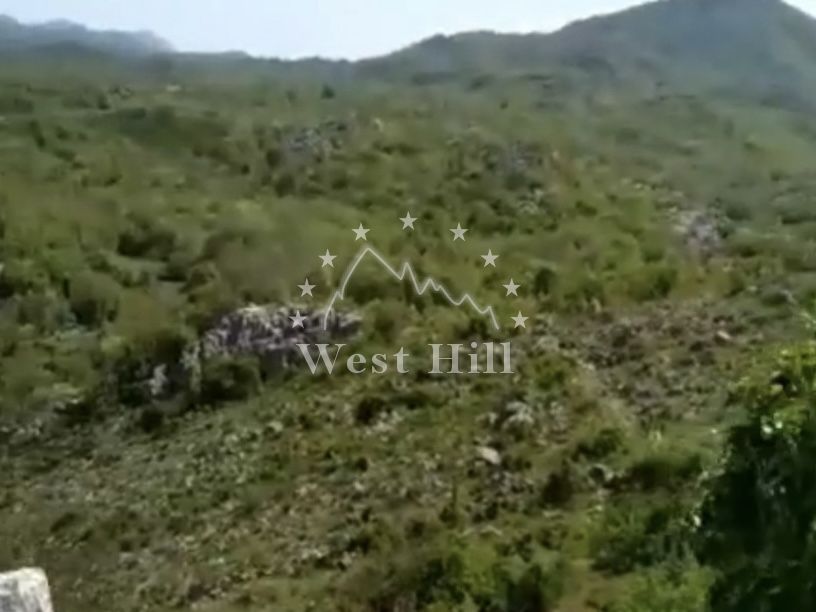 Terrain à Cetinje, Monténégro, 80 000 m² - image 1