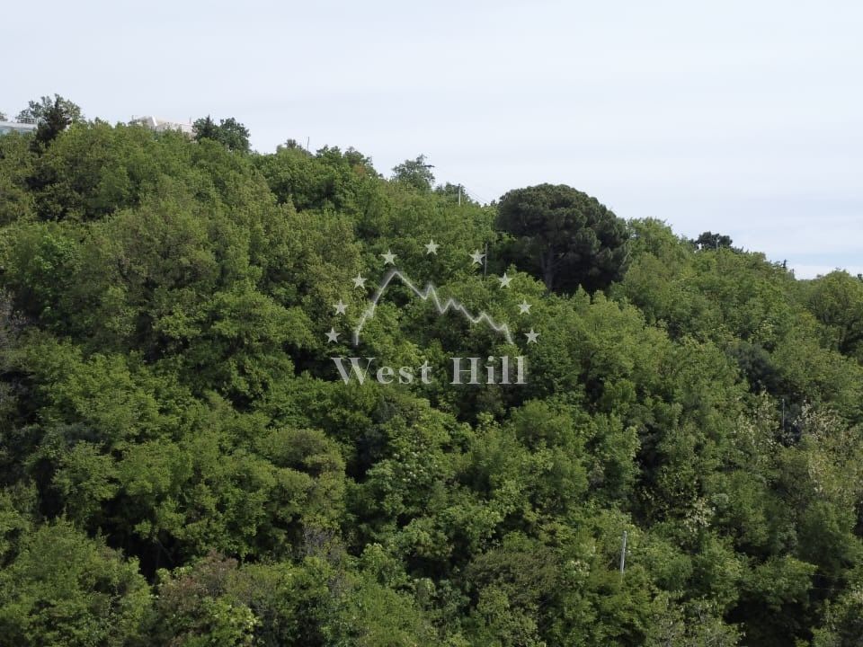 Terreno a Sutomore, Montenegro, 435 m2 - foto 4