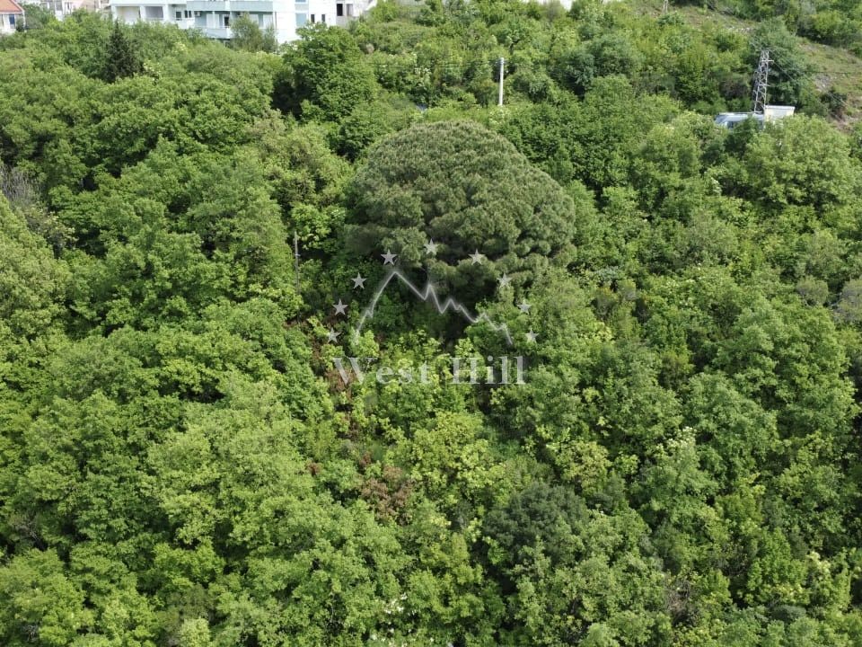 Terreno a Sutomore, Montenegro, 435 m2 - foto 7