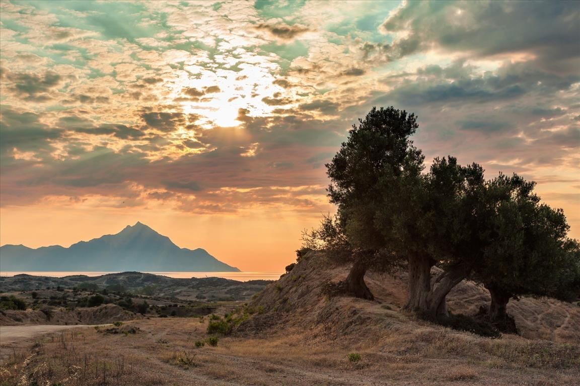 Maisonette in Sithonia, Greece, 45 m² - picture 10