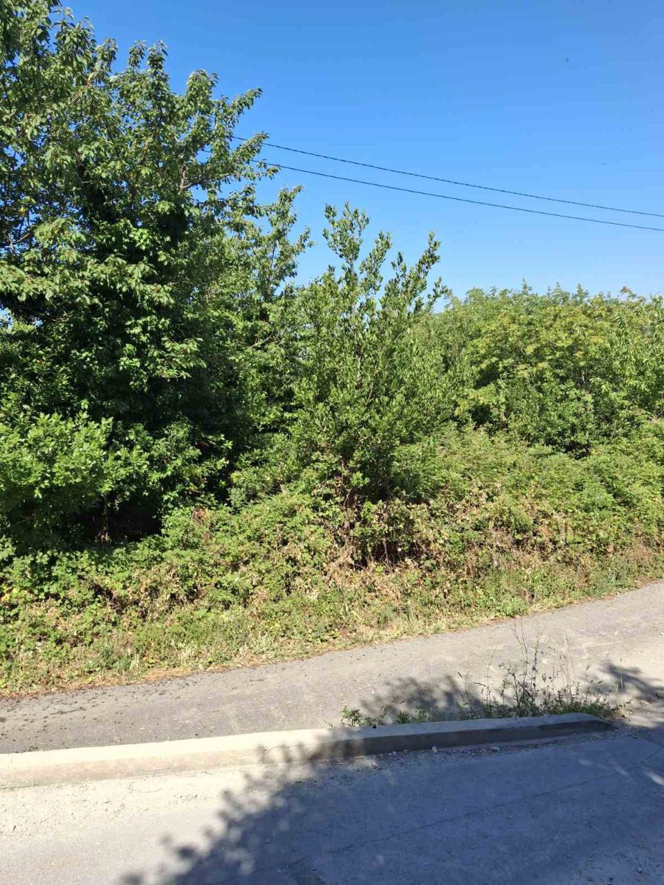 Terreno a Blizikuce, Montenegro, 370 m2 - foto 2