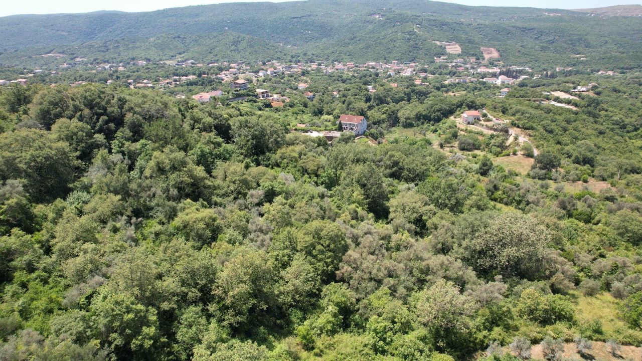 Land in Radanovici, Montenegro, 3 000 m² - picture 2