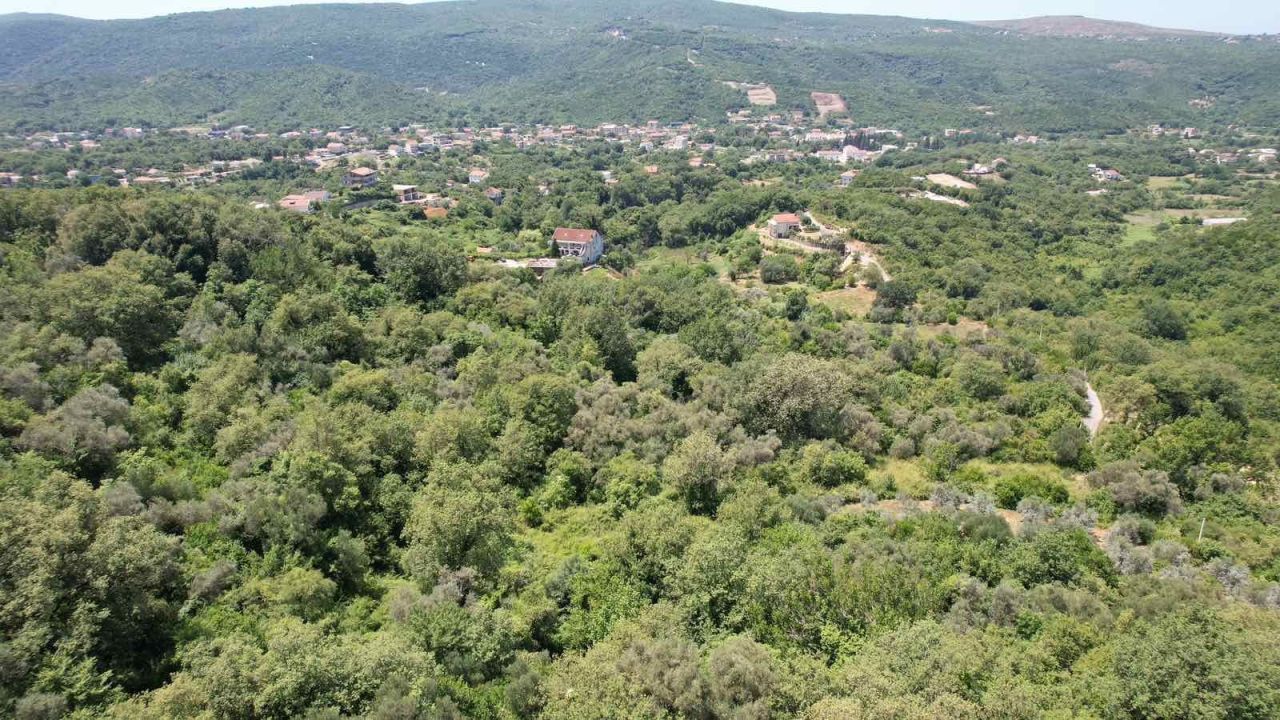 Land in Radanovici, Montenegro, 3 000 m² - picture 3