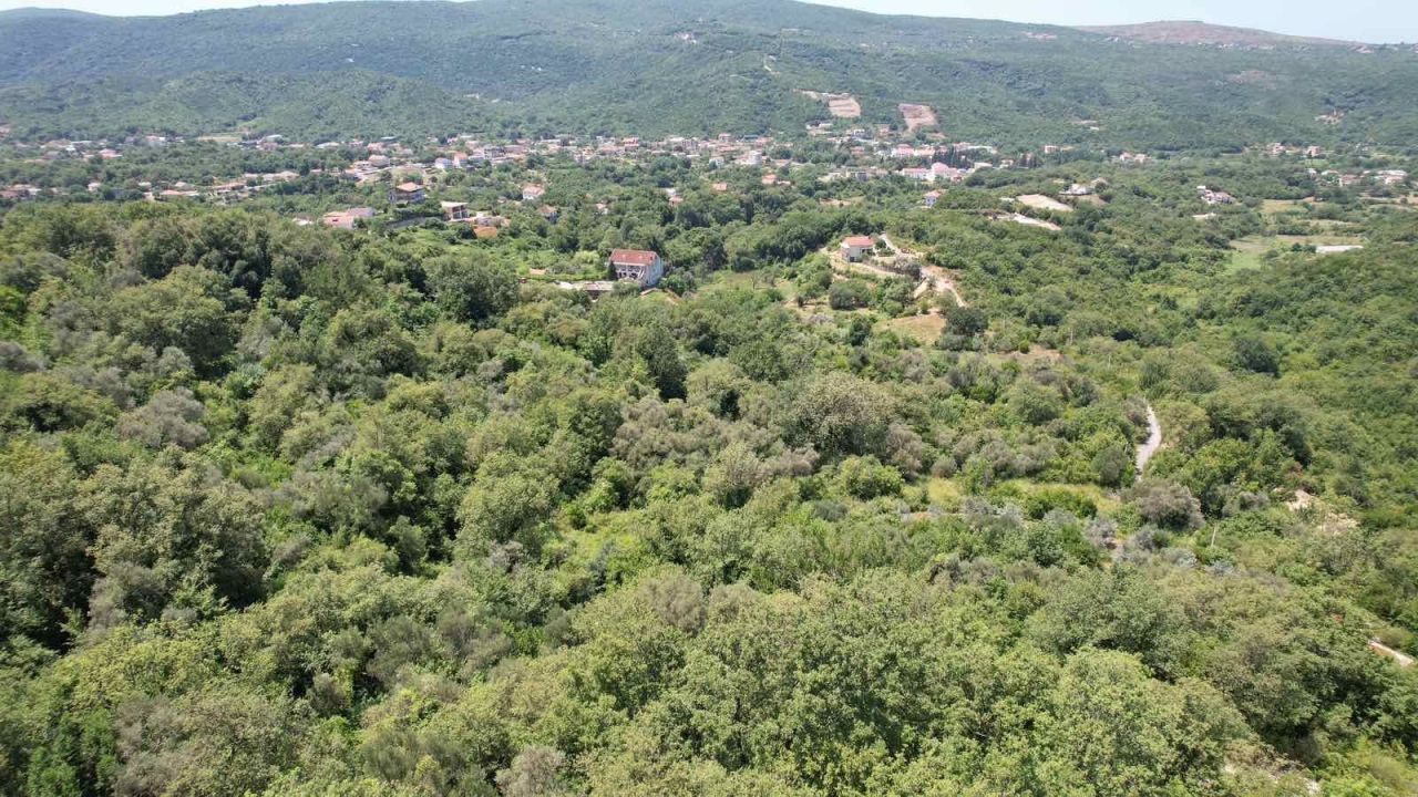 Land in Radanovici, Montenegro, 3 000 m² - picture 5