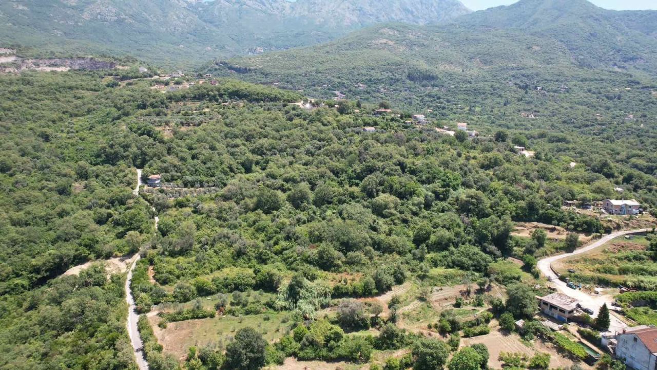 Land in Radanovici, Montenegro, 3 000 m² - picture 14