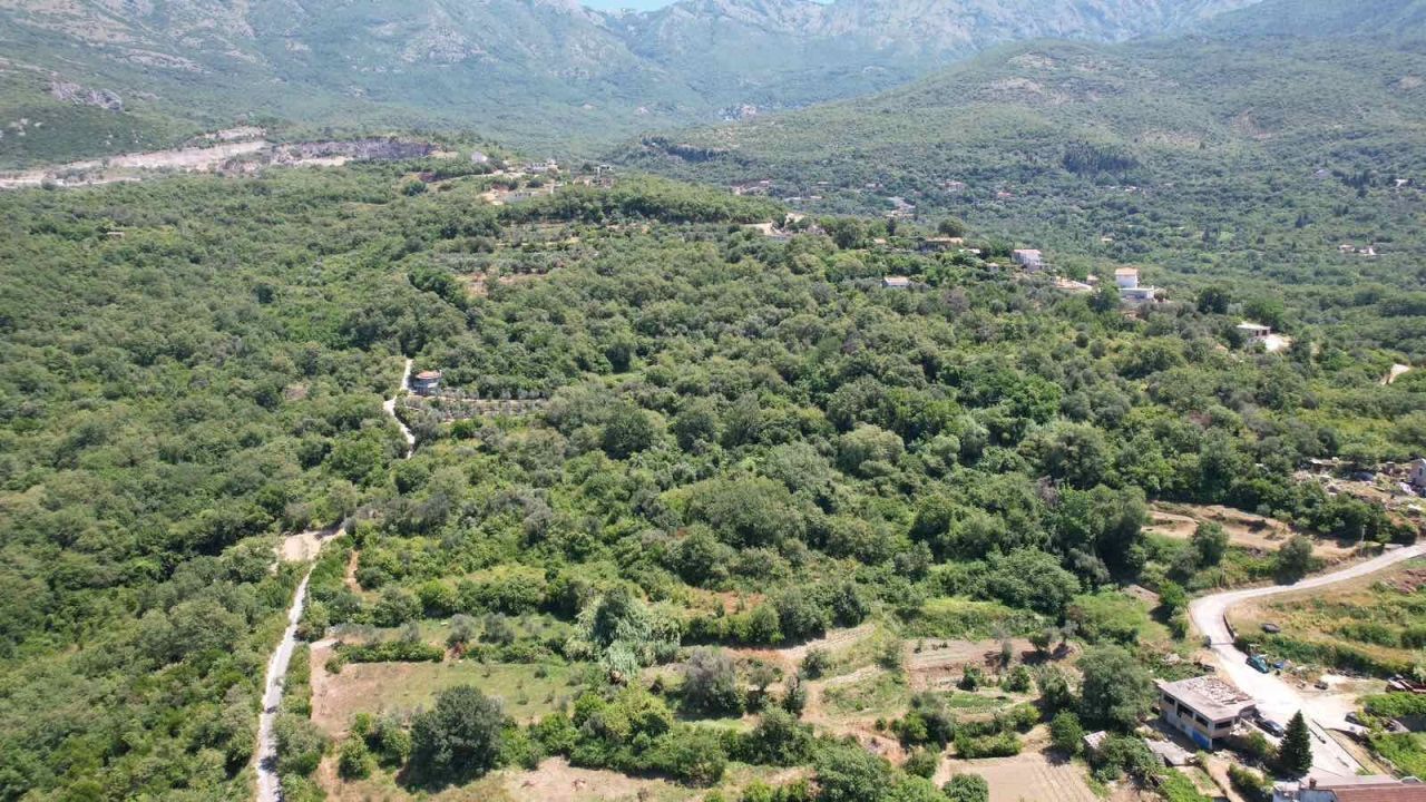 Land in Radanovici, Montenegro, 3 000 m² - picture 15
