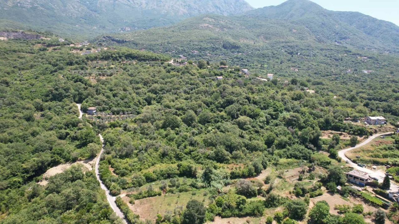 Land in Radanovici, Montenegro, 3 000 m² - picture 17