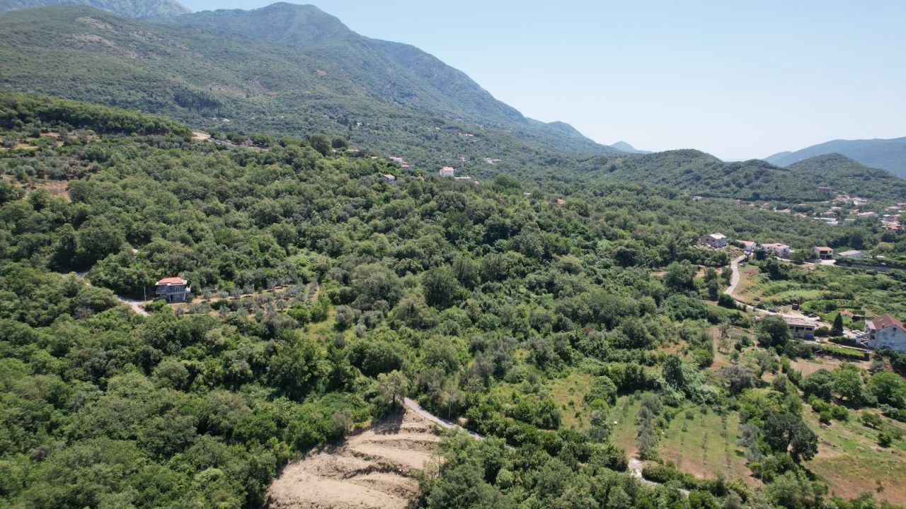 Land in Radanovici, Montenegro, 3 000 m² - picture 18