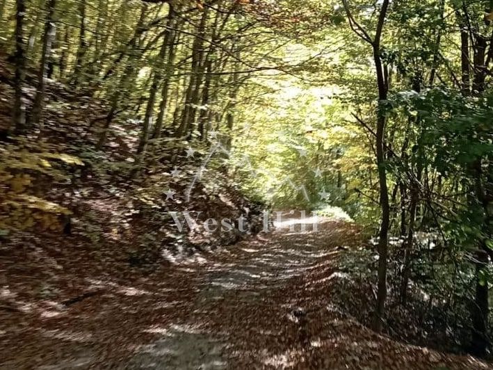 Terrain à Kolasin, Monténégro, 64 000 m² - image 1