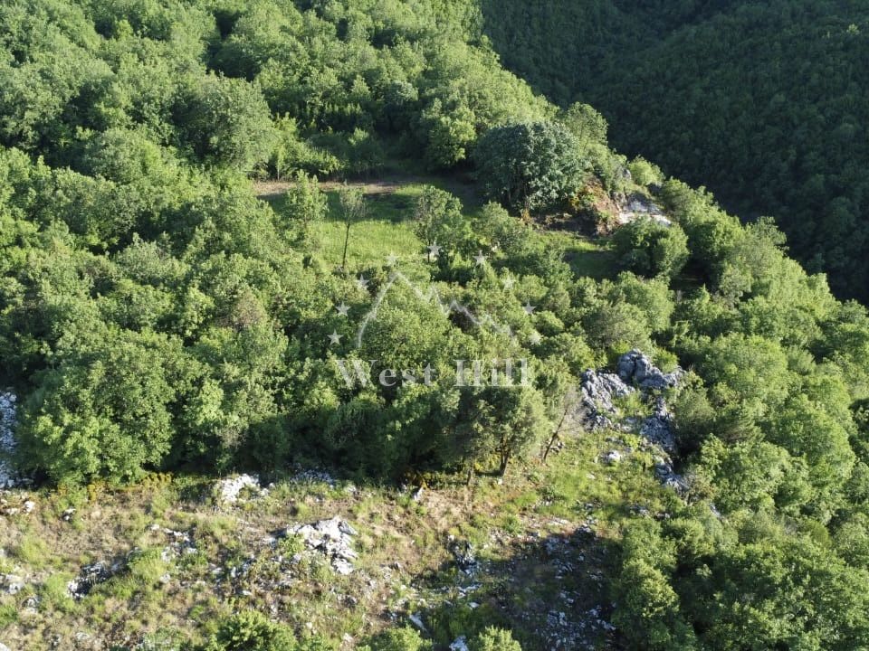 Terreno en Virpazar, Montenegro, 9 000 m² - imagen 6