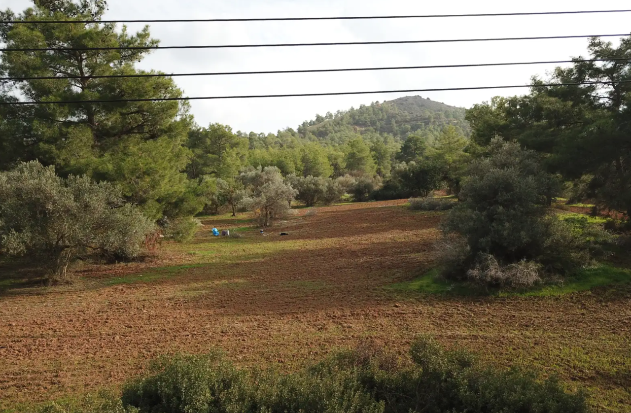 Land in Larnaca, Cyprus, 2 500 m² - picture 1