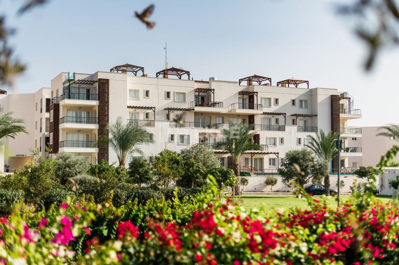 Apartamento en İskele, Chipre, 39 m² - imagen 1