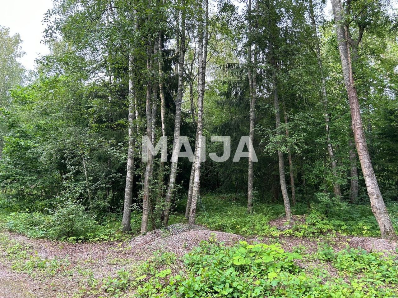 Grundstück Põhja, Estland, 10 582 m² - Foto 6