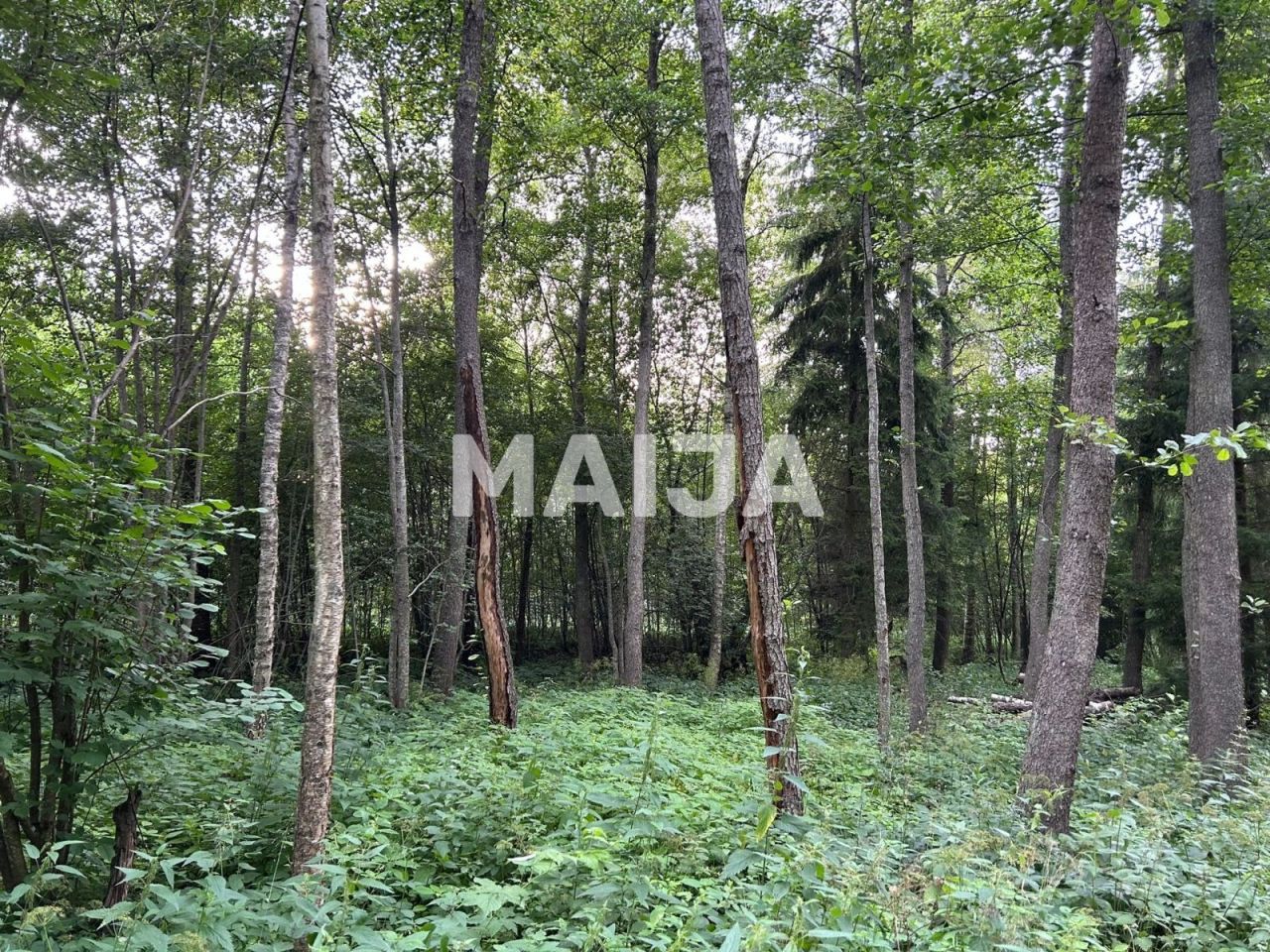 Grundstück Põhja, Estland, 10 582 m² - Foto 12