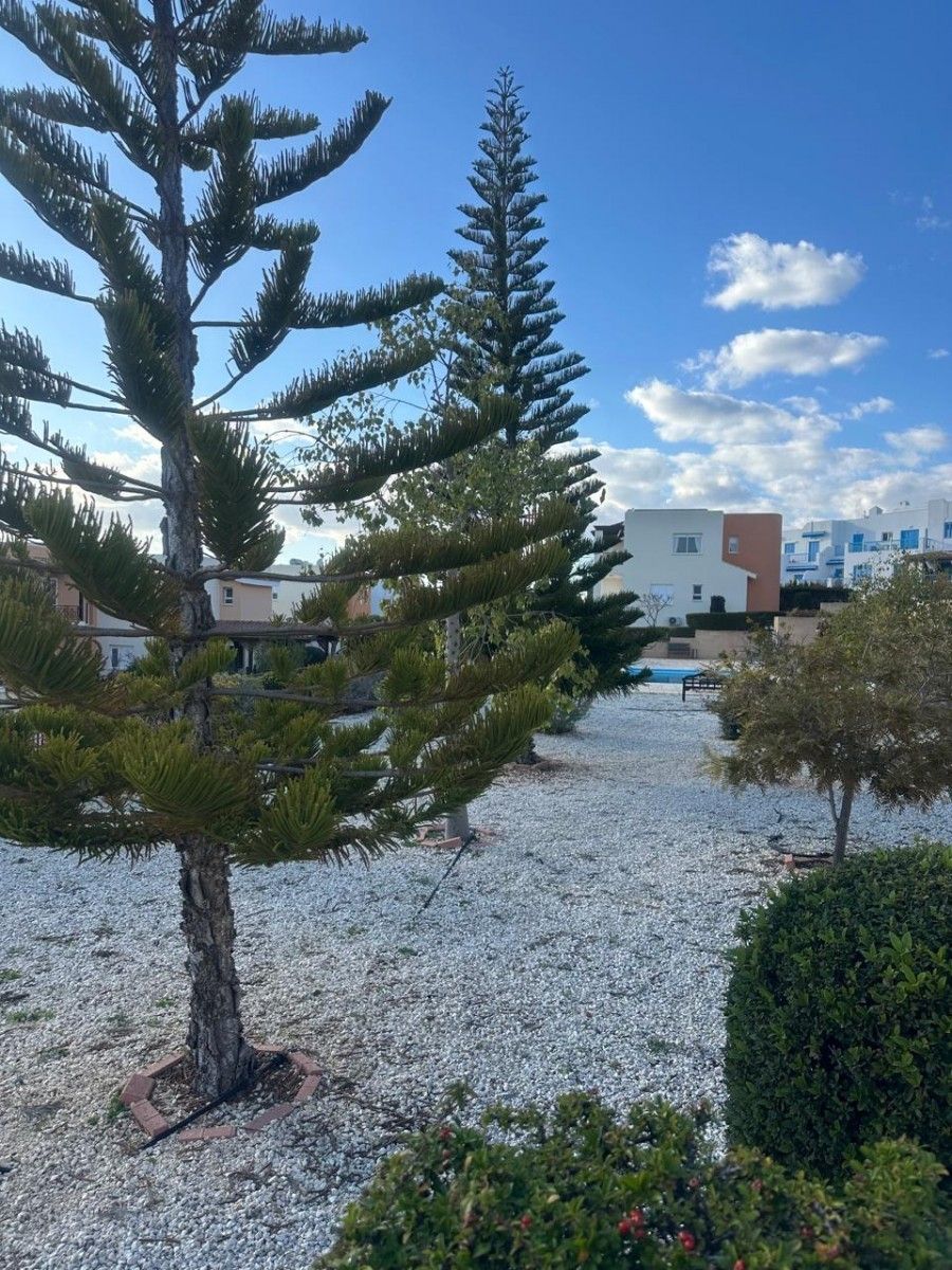 Appartamenti a Paphos, Cipro, 120 m² - foto 4