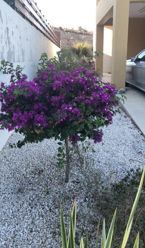 Villa a Paphos, Cipro, 165 m² - foto 12