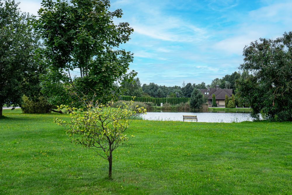 House in Babite, Latvia, 450 m² - picture 16