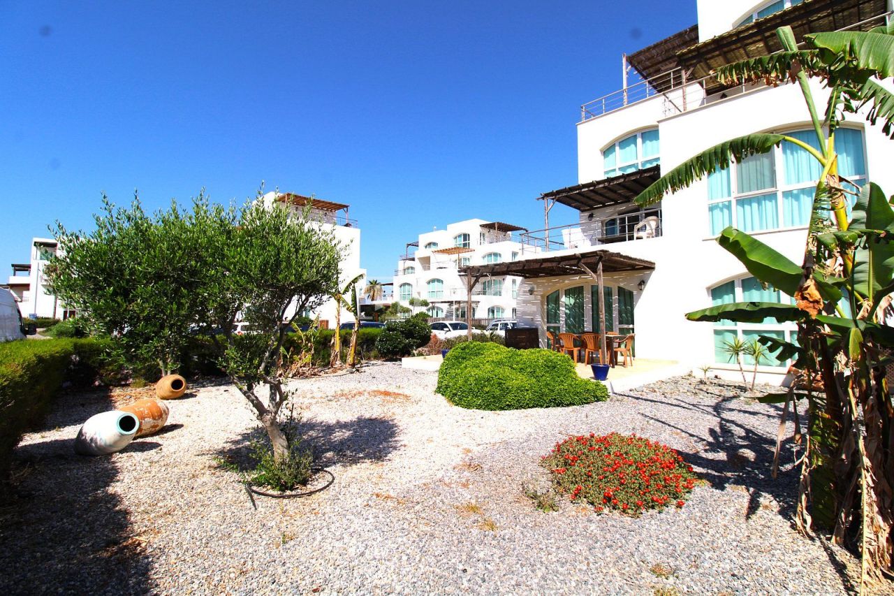 Appartement à Lefke, Chypre, 120 m² - image 1