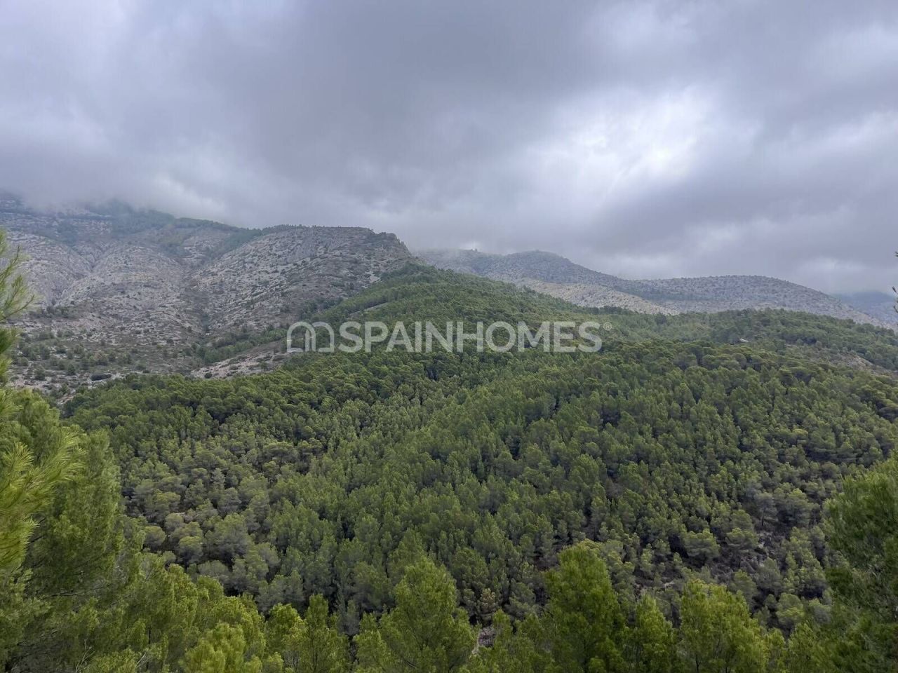 Land in Altea, Spain, 4 812 m² - picture 7