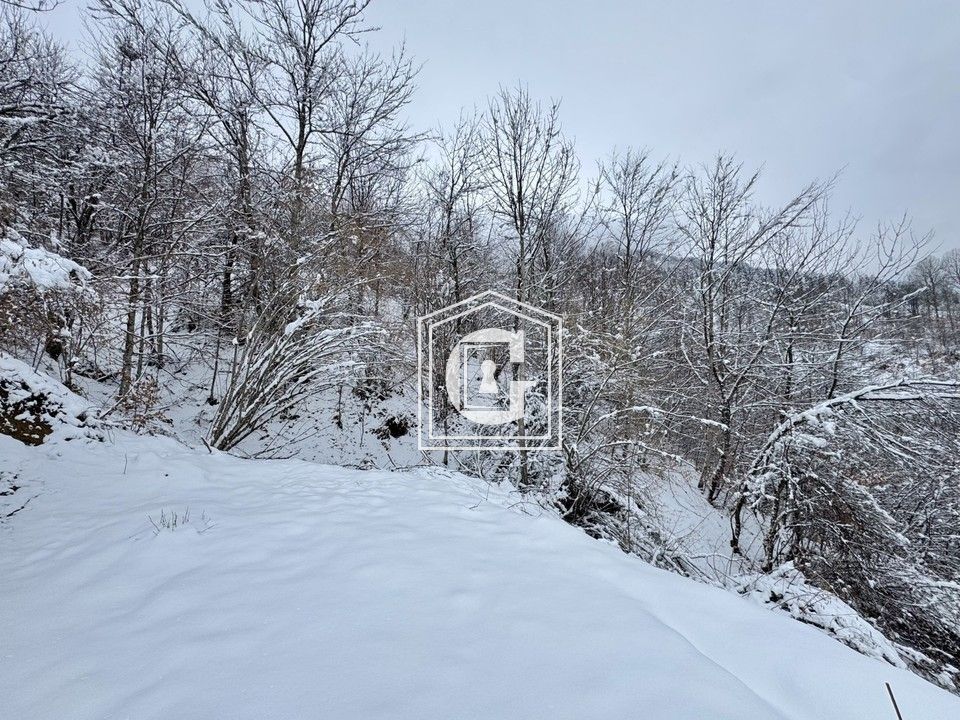 Terreno en Kolasin, Montenegro, 16 613 m² - imagen 4