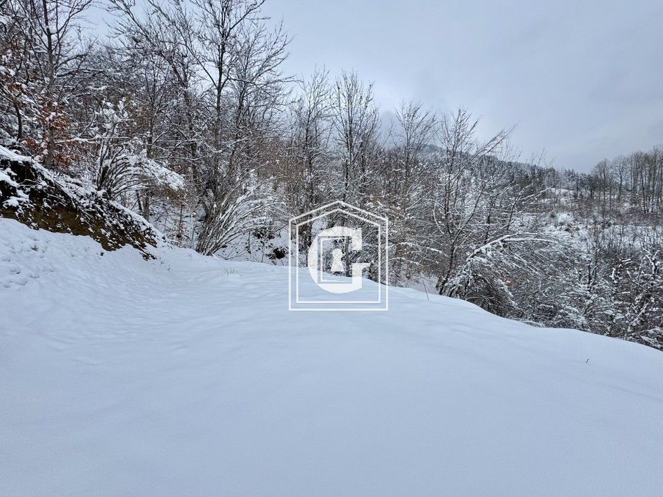 Terreno en Kolasin, Montenegro, 16 613 m² - imagen 8